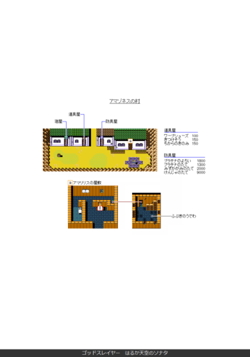 アマゾネスの村